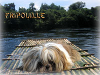 Avatar de l’utilisateur