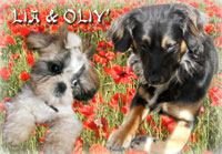 Avatar de l’utilisateur