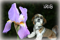 Avatar de l’utilisateur