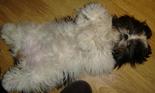 Avatar de l’utilisateur